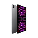 Apple iPad Pro 11 inç (4. Nesil) M2 Wi-Fi + Cellular 1TB MNYJ3TU/A - Uzay Grisi