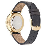 Ted Baker TBBKPSGF501 Erkek Kol Saati