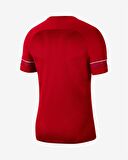 Nike CW6101-657 M Nk Df Acd21 Top Ss Erkek T-Shirt