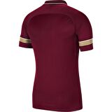Nike CW6104-677 M Nk Df Acd21 Polo Ss Erkek Polo T-Shirts