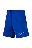 Nike Nk Df Acd21 Short K CW6107-480 Erkek Şort
