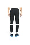 Nike Academy21 Pant CW6122-010 Erkek Eşofman Altı