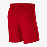 Nike M Nk Vprknit III Short K Erkek Futbol Şortu CW3847-100