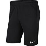 Nike CW6152-010 M Nk Df Park20 Short Kz Erkek Şort