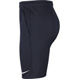 Nike Erkek Şort Dri-Fit Park CW6152-451