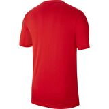 Nike CW6936-657 Dri-Fit Park Erkek T-Shirt