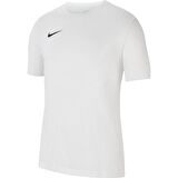 Nike Erkek T-Shirt Dri-Fit Park Cw6952-100