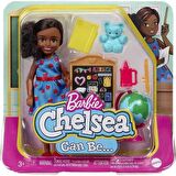 Barbie Chelsea Meslekler Öğretmen GTN86 HCK69 Lisanslı Ürün
