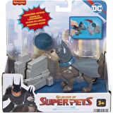 DC İmaginext Süper Pets -Ace HGL08 HGL11 Lisanslı Ürün