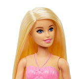 MATTEL Barbie Dreamtopia Yeni Denizkızı Bebekler HGR04 HGR05