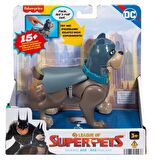 Imaginext DC League of Super Sesli Figürler Ace HJF28-HJF31