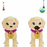 Barbie ve Köpekçikleri Oyun Seti HKD86 Lisanslı Ürün