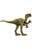 Proceratosaurus Büyük Boy 30cm Orijinal Lisanslı Oyuncak Dinozor Figür Mattel Jurassic World Eklemli