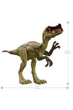Proceratosaurus Büyük Boy 30cm Orijinal Lisanslı Oyuncak Dinozor Figür Mattel Jurassic World Eklemli