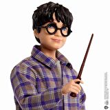 HND79 Harry Potter ve Ron Hogwarts Express Oyun Seti