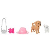 Barbie ve Stacie Kız Kardeşler HRM09 Lisanslı Ürün