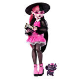 Monster High Acayip Havalı Arkadaşlar HPD53-HRP64