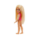 Barbie Chelsea Tatilde Bebekleri GLN73-HTK25