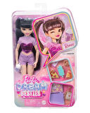 Barbie Dream Besties Renee Bebek ve Aksesuarları HYC24