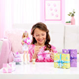 JFG68 Barbie Party Unboxed Köpeğimin Doğum Günü Serisi