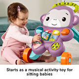 Fisher-Price Benimle Öğren Mor Maymun Yürüteç