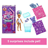 Barbie Pop Reveal Chelsea Atıştırmalık Serisi JFY01-JFY63