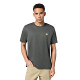 Dickies Mapleton Ss Tee Erkek Yeşil T-Shirt