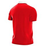 Nike CW6933-657 M Nk Df Park20 Polo Ss Erkek Polo T-Shirts