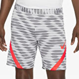Nike Strke21 Erkek Şort