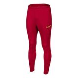 Dri-Fit Academy Erkek Eşofman Altı