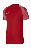 Nike DH8031-657 M Nk Df Academy Jsy Ss Erkek Futbol Forma