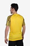Nike Dri-Fit Academy DH8031-719 Sarı Erkek Tişört