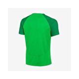 Nike Dh9225 M Nk Df Acdpr Ss Top K T-shirt