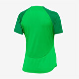 Nike W Nk Df Acdpr SS Top K Kadın Antrenman Tişörtü DH9242-329