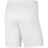 Nike BV6855-104 M Nk Df Park Iıı Short Nb K Erkek Spor Şort