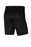 Nike M Nk Df Park Erkek Şort BV6855-104 BV6855-104001