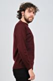Çizgi Triko Erkek Bisiklet Yaka Desenli Kazak 42554225 Bordo