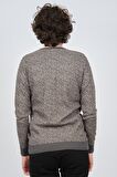 Çizgi Triko Erkek Bisiklet Yaka Slim Fit Desenli Kazak 42554255 Gri