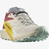 Salomon Sense Ride 5 Erkek Patika Koşu Ayakkabısı