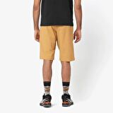 Salomon Wayfarer Shorts M Erkek Şort