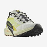 Salomon Sense Ride 5 Erkek Koşu Ayakkabısı