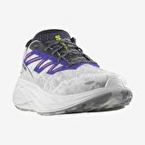 Salomon Aero Glide 2 Erkek Koşu Ayakkabısı