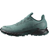 Salomon Alphacross 5 Gtx Erkek Koşu Ayakkabı