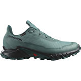 Salomon Alphacross 5 Gtx Erkek Koşu Ayakkabı