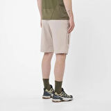 Salomon Wayfarer Shorts M Erkek Şort