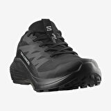Salomon Alphaglide Gore-Tex Erkek Patika Koşu Ayakkabısı L47802100