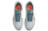 Nike Air Wınflo 9 Erkek Spor Ayakkabı DD6203-005