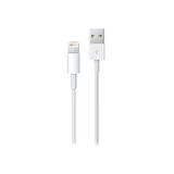 Apple Lightning to USB Cable (1m)