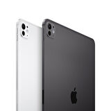 iPad Pro M4 11 inç Wi-Fi + Cellular 1TB Standard Cam (MVW63TU/A) - Gümüş