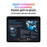 iPad Air 11 inç Wi-Fi + Cellular 1TB MCGA4TU/A - Yıldız Işığı  